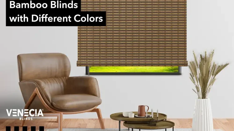 moving car shades
