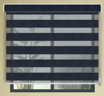 zebra blind